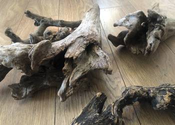 Driftwood drewno akwarystyczne