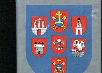 Ostrów Wielkopolski dzieje miasta i regionu Ostrów Wielkopolski dzieje miasta i regionu