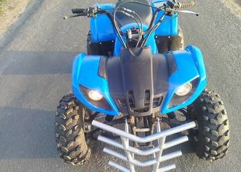 Quad 250