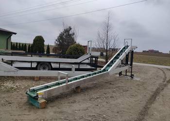 Taśmociąg / Podajnik / Transporter do zbioru warzyw kapusty kalafiora