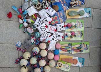 Zabawki dla kota, psa, królika