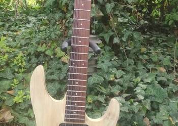 Gitara Quality Custom Guitars.