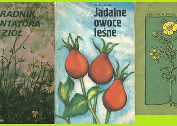 Poradnik plantatora ziół/Jadalne owoce leśne/ Ziółka i my