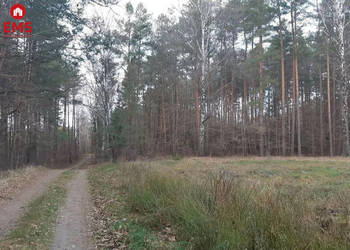 Sprzedam działka Rzepniki 1182m2