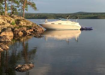 Sea Ray 230 silnik MerCruiser 4.3 Jach Łódź motorowa