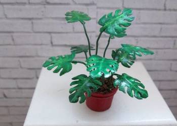 Monstera do domku dla lalek