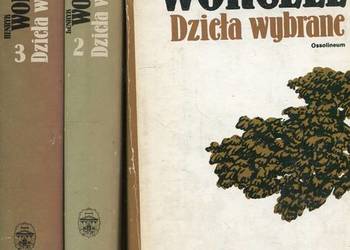 Dzieła wybrane T.1-3 - Worcell
