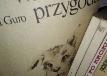 Wakacyjna przygoda książki używane antykwariaty szkolne