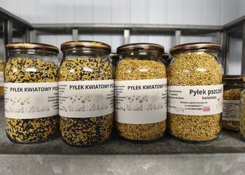 Pyłek pszczeli 500g