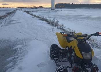 Bashan 250 zamiana na cross