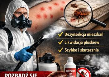 Odpluskwianie PLUSKWY | Dezynsekcja | Ozonowanie | Piekary Śląskie