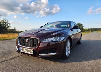 Jaguar XF 2.0 GTDi Prestige | Salon PL | Tylko 95 tys. km | Zjawiskowy kolo