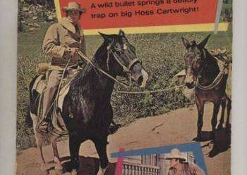 Bonanza No.1