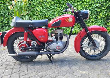 BSA C15 250 cm³ (1959 r.) – Po renowacji, pełna historia (Dania), zarejestr