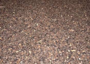 Gryka po pokosówce 2025