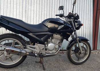 Honda cbf250