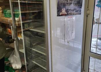 Zamrażarka witrynowa IGLOO EWA 500 – sklepowa, –18°C, sprawna