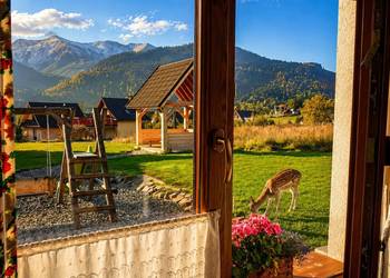 7 apartament Wakacje weekend nocleg Zakopane / Kościelisko