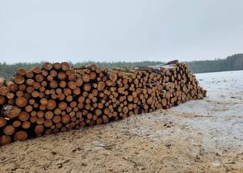 Sprzedam drewno sosnowe - opałowe, metry, gałęziówka