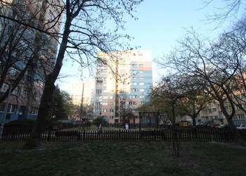 2pok, 38met, okolice Zaułku Browarnego PIWNICA/WINDA (Wrocław)