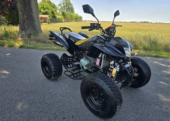 Quad Bashan Bs 250cc Duża Rama 4+1R Ciecz 2014r Zarejestrowany!