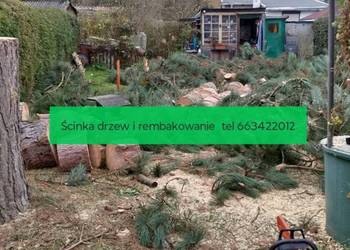 Wycinka ,karczowanie, rembakowanie