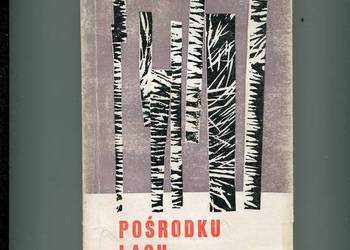 Pośrodku lasu - Kazimierz Kowalski