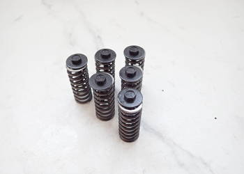 Sprężyny Śrubki Kosza Sprzęgła Suzuki RM 250 2T J115 96-00r
