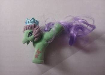Kucyk Filly Royale Książe Glory