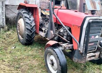 Sprzedam Massey Ferguson 255
