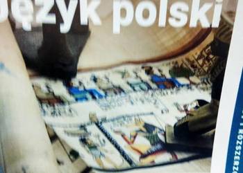 Polski 1.1 rozszerzenie operon ponadpodstawowe