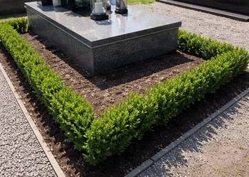 Renowacja grobu, Cmentarz bujwida, pomnika, nagrobka, odnowienie, cennik