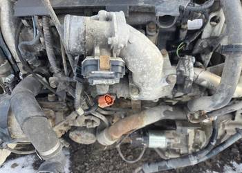 Kompletny Silnik 2.3 Euro 5 Fiat Ducato Iveco Gwarancjia !!!