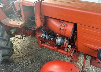 Sprzedam władymirca