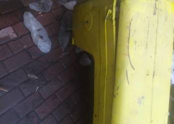 Maska do Ursus C-355