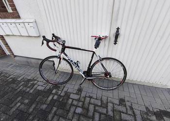 focus cayo carbon Di2