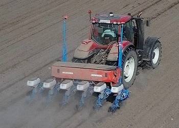 Usługa siewu kukurydzy