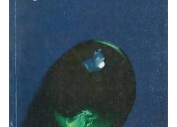 Uprzedmiotowienie  Krzysztof Okopień