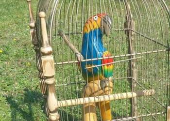 Unikalna Dekoracja Ogrodowa/Domowa: Klatka Vintage z Drewnianą Papugą Ara!