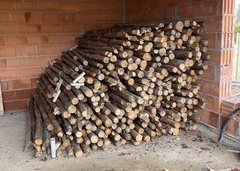 Sprzedam stemple budowlane drewniane