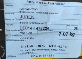 Rzepak Jurek nasiona