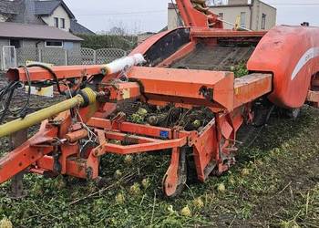 Grimme GZ1700 DL1 zbieracz kopaczka