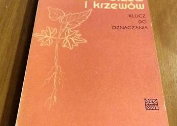 Siewki drzew i krzewów : klucz do oznaczania / Stanisław Król