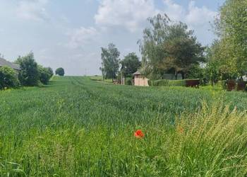 Dzialka 36arow Krzak Woj. Lubelskie gm. Nielisz