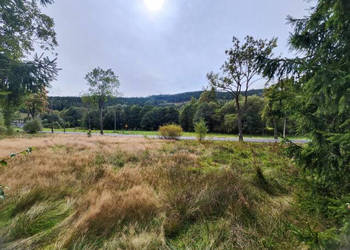 Działka Jarkowice 1772m2
