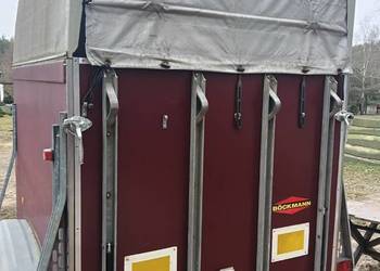 Przyczepa dwukonna , konna Naprawa Trapu