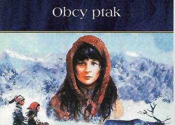 Saga Raija ze śnieżnej krainy,t.1 Obcy ptak- B. Peterson.