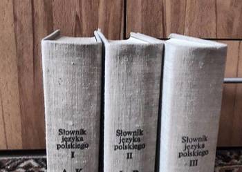 Słownik języka polskiego PWN 3 tomy