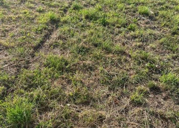 Grunt na sprzedaż Niechorze 1000m2