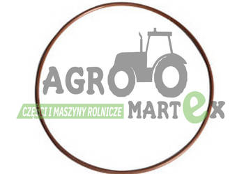 93137C1, 87774815 PIERŚCIEŃ ORING CNH